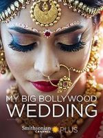Watch My Big Bollywood Wedding Megashare8