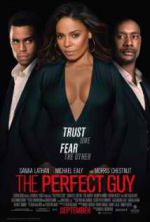 Watch The Perfect Guy Megashare8