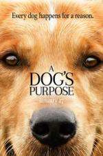 Watch A Dog's Purpose Megashare8