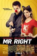 Watch Mr. Right Megashare8