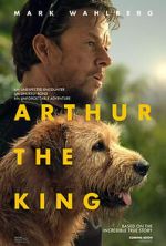 Watch Arthur the King Megashare8