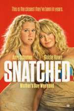 Watch Snatched Megashare8