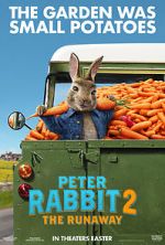 Watch Peter Rabbit 2: The Runaway Megashare8