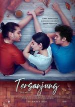 Watch Tersanjung: The Movie Megashare8