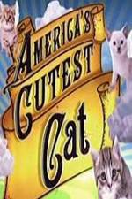 Watch America's Cutest Cat Megashare8