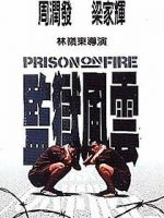 Watch Prison on Fire Megashare8