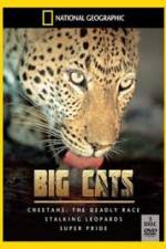 Watch National Geographic: Living With Big Cats Megashare8