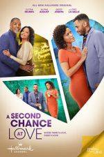 Watch A Second Chance at Love Megashare8