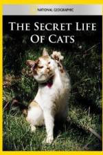 Watch National Geographic The Secret Life of Cats Megashare8