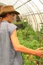 Watch Green House Seeds Strain Hunters India Expedition Megashare8