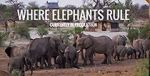 Watch Where Elephants Rule Megashare8