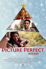 Watch A Picture Perfect Holiday Megashare8