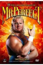 Watch The Life and Times of Mr Perfect Megashare8