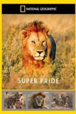 Watch National Geographic: Super Pride Africa\'s Largest Lion Pride Megashare8