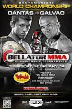 Watch Bellator Fighting Championships 89 Megashare8