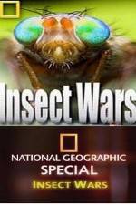 Watch National Geographic Insect Wars Megashare8
