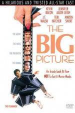 Watch The Big Picture Megashare8