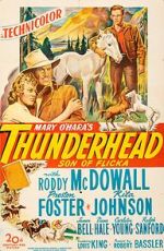 Watch Thunderhead: Son of Flicka Megashare8