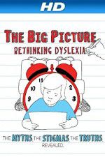 Watch The Big Picture Rethinking Dyslexia Megashare8
