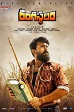 Watch Rangasthalam Megashare8