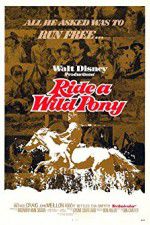 Watch Ride a Wild Pony Megashare8