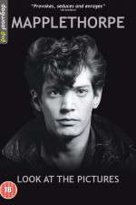 Watch Mapplethorpe: Look at the Pictures Megashare8