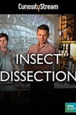 Watch Insect Dissection: How Insects Work Megashare8