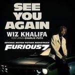 Watch Wiz Khalifa Ft. Charlie Puth: See You Again Megashare8