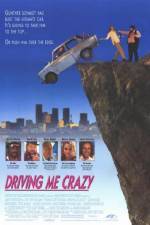 Watch Driving Me Crazy Megashare8