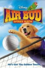 Watch Air Bud Spikes Back Megashare8
