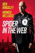 Watch Spider in the Web Megashare8