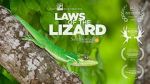 Watch Laws of the Lizard Megashare8