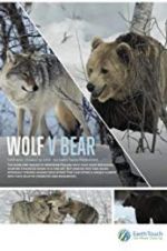 Watch Wolf vs Bear Megashare8