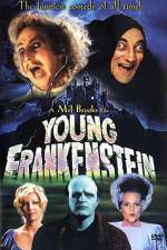 Watch Young Frankenstein Megashare8