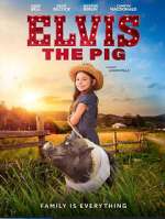 Watch Elvis the Pig Megashare8