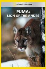 Watch National Geographic Puma: Lion of the Andes Megashare8