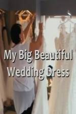 Watch My Big Beautiful Wedding Dress Megashare8