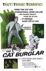 Watch The Cat Burglar Megashare8