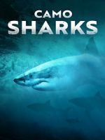 Watch Camo Sharks Megashare8