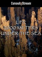 Watch Life 2,000 Meters Under the Sea Megashare8