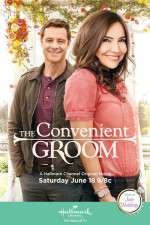 Watch The Convenient Groom Megashare8