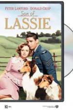 Watch Son of Lassie Megashare8