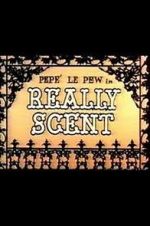 Watch Really Scent (Short 1959) Megashare8