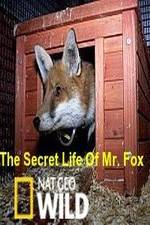 Watch The Secret Life of Mr. Fox Megashare8