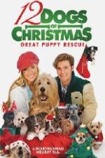 Watch 12 Dogs of Christmas Great Puppy Rescue Megashare8