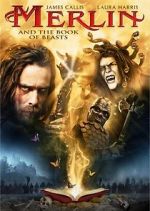 Watch Merlin and the Book of Beasts Megashare8