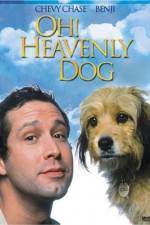 Watch Oh Heavenly Dog Megashare8