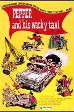 Watch Wacky Taxi Megashare8