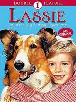 Watch Lassie: A New Beginning Megashare8