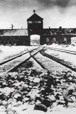 Watch AUSCHWITZ: CORRUPTION Megashare8